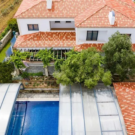 Tojeira * Sintra